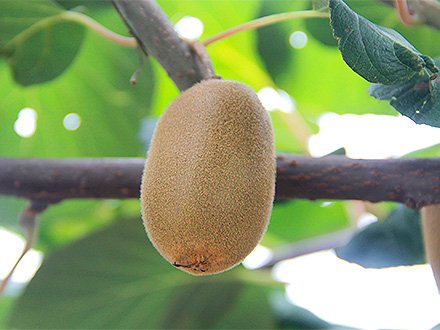 爱游戏体育平台基地展示二