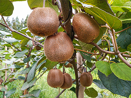 爱游戏体育平台基地展示六